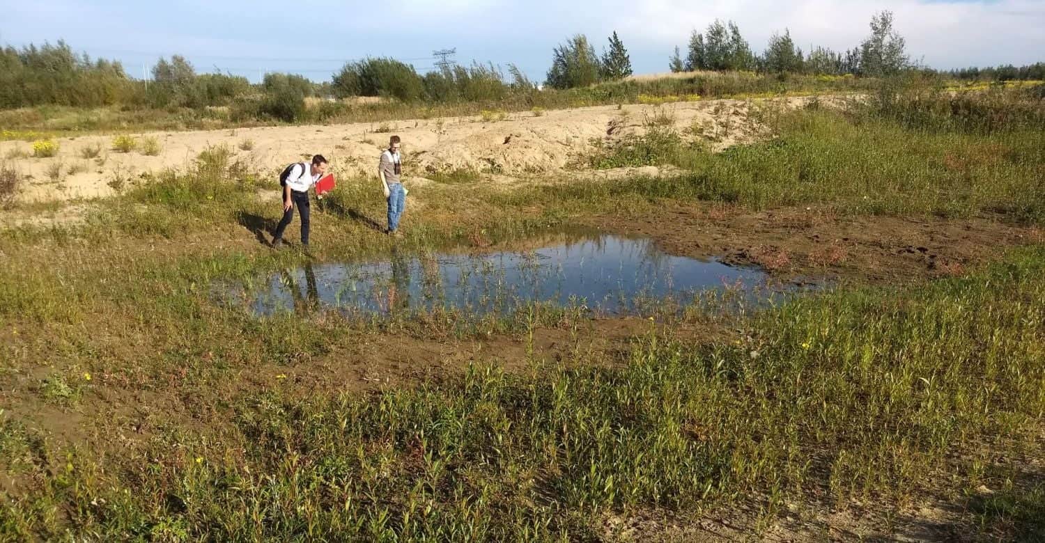 Cursus Tijdelijke Natuur Cursus Tijdelijke Natuur
