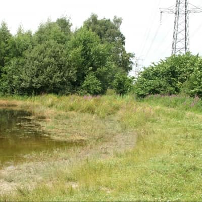 Ecopark Acht poel ecologisch stadspark - Ecopark Acht poel