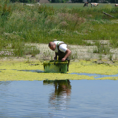 Ecologische monitoring