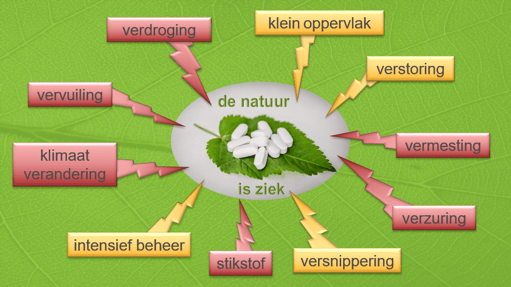 Basiskwaliteit Natuur | Naturio