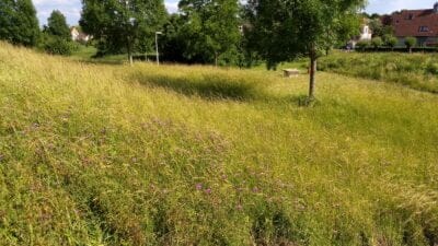IMG_20190617_172623996