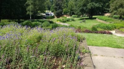 IMG_20190622_124357864