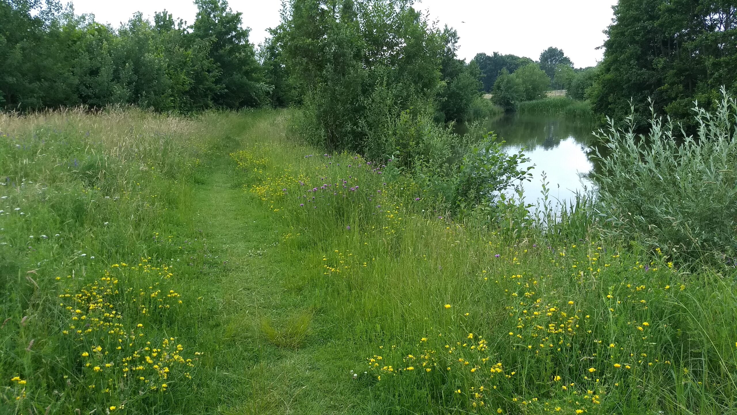 Masterclass Stadsnatuur