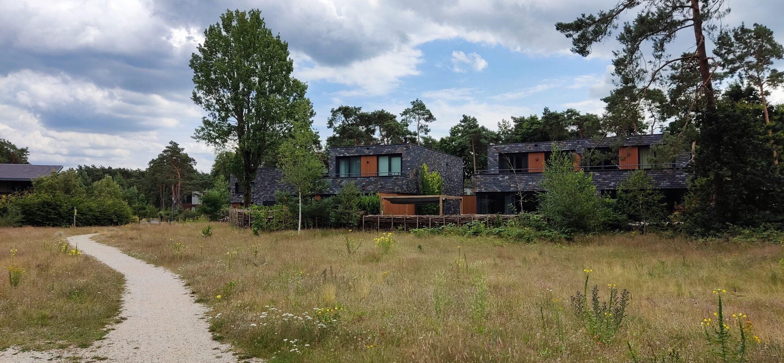 Masterclass meer natuur in ontwerp
