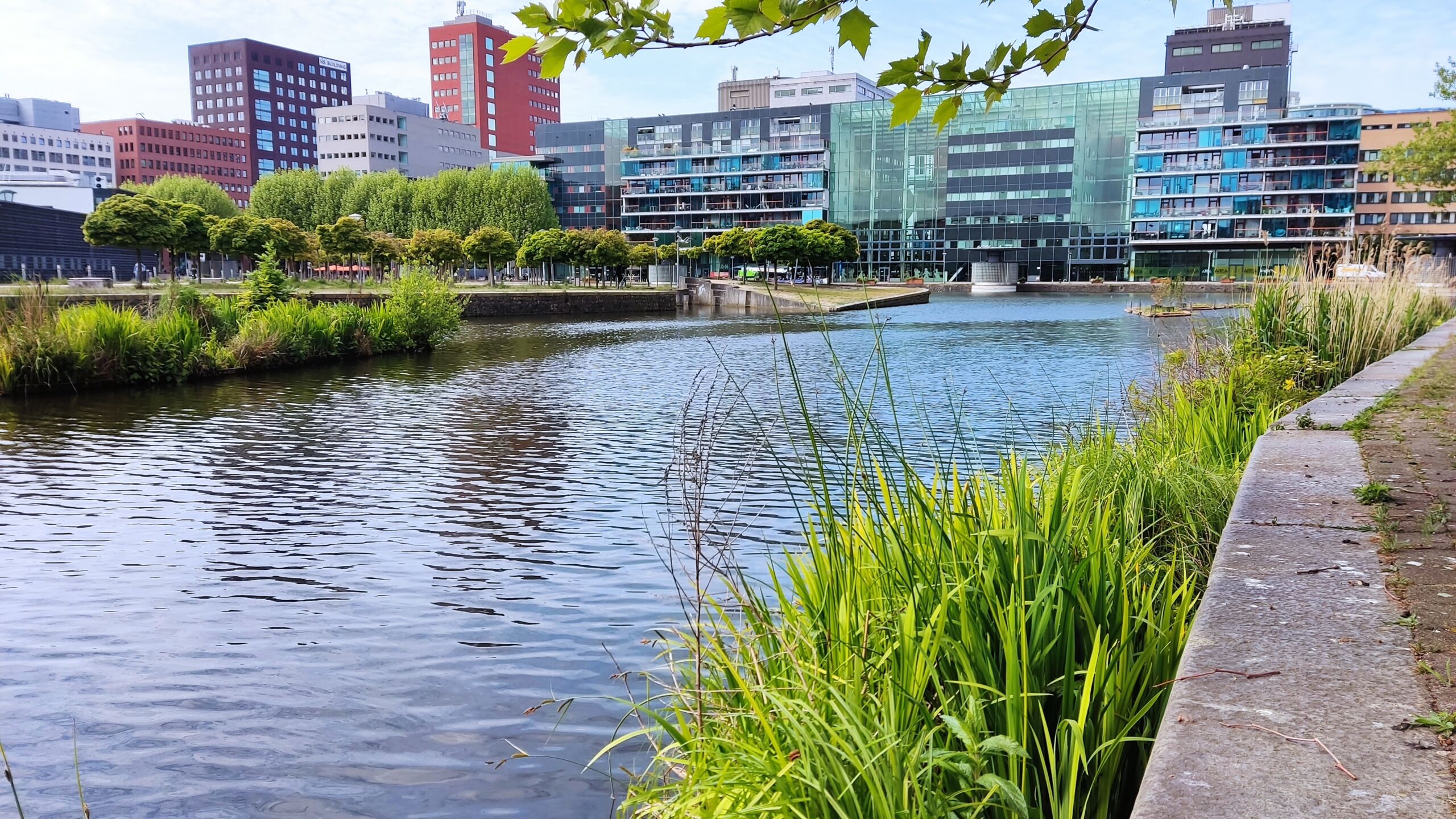 Den Haag stadsnatuur