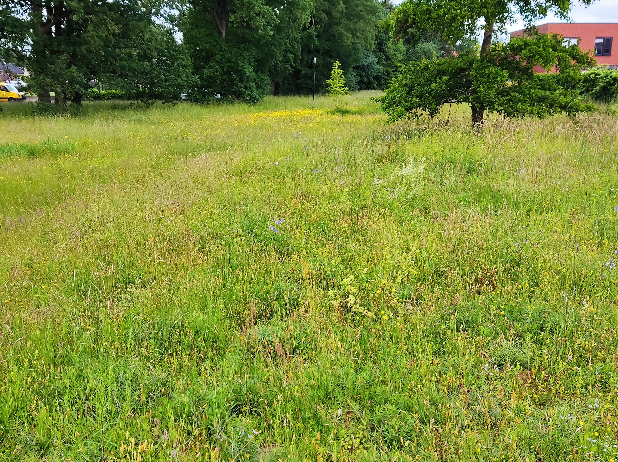 Natuurinclusief proces