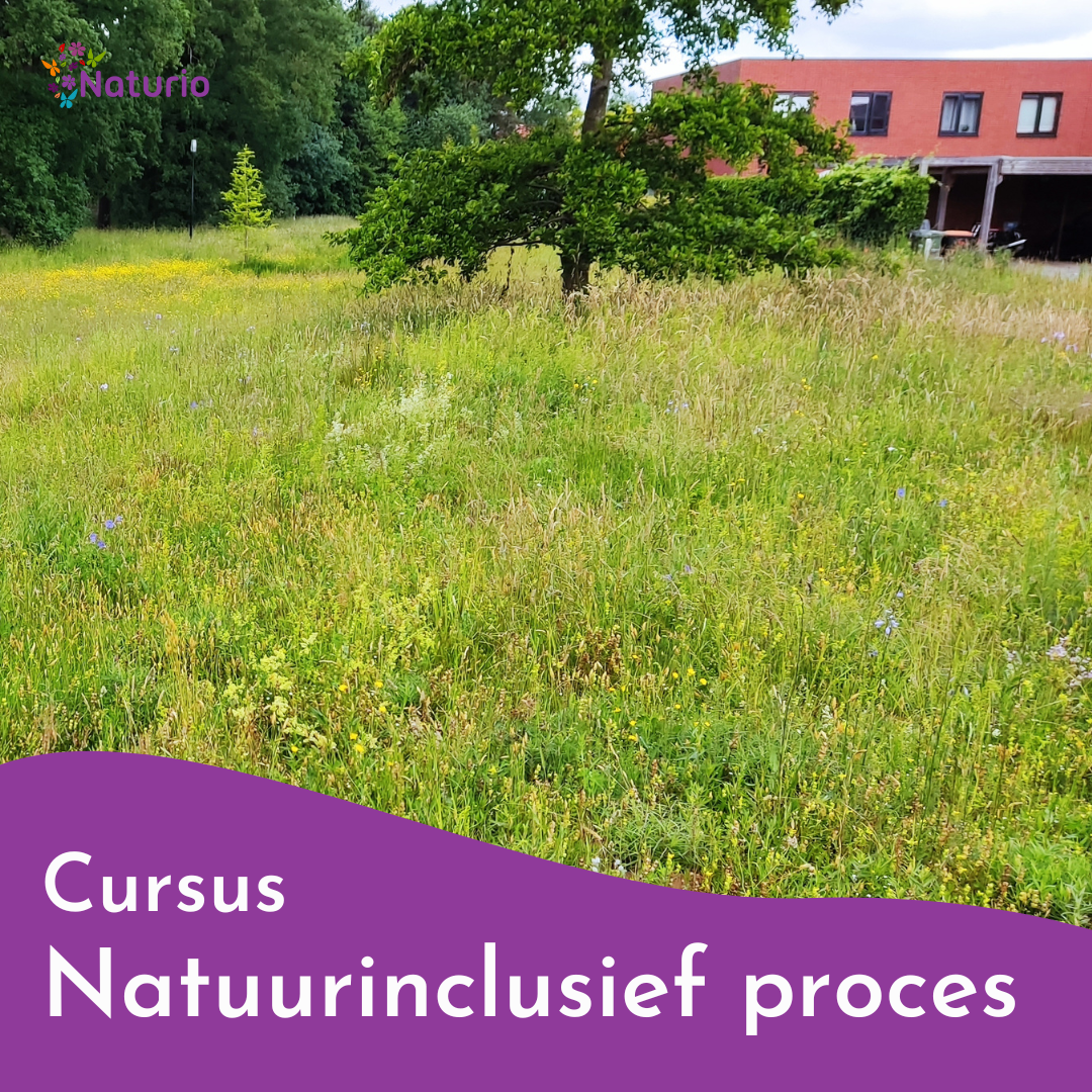 Cursus Natuurinclusief proces